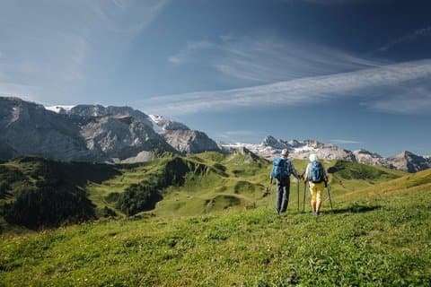 Adelboden Easy Flower Trail on Vogellisi Mountain
