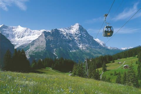 Grindelwald First Cable Car Guided Day Trip from Interlaken