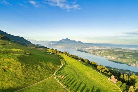 3 in 1: Lucerne Old Town - Lake Cruise - Cable Car Small Group