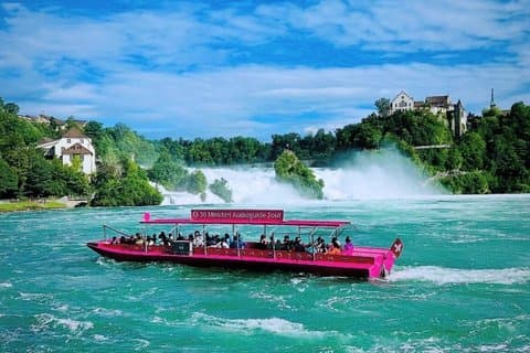 Rhine Falls Private Day Tour from Zurich
