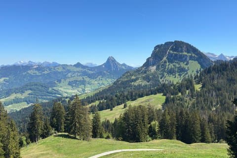Private Tour with Picnic in the Alps