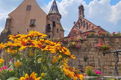 Alsatian Christmas Market and Wine Tasting Tour