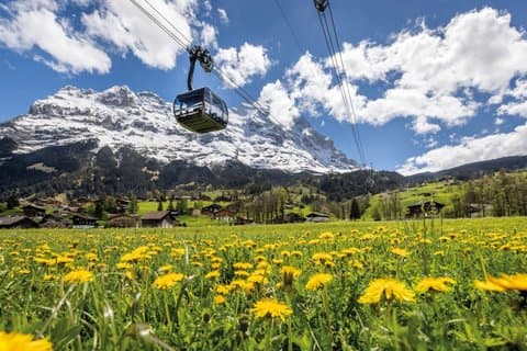 Eiger Express Gondola Ticket to Eigergletscher from Grindelwald