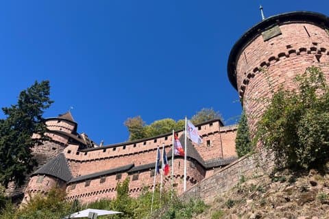 Alsace's Villages, Colmar and Castle Private Car Tour for 1-6
