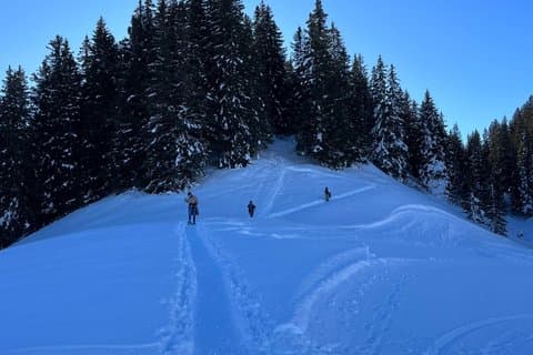 Private winter hike above Mürren with swiss fondue lunch