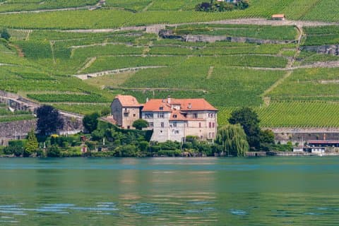 Private Lavaux Vineyards & Montreux Experience | Zurich