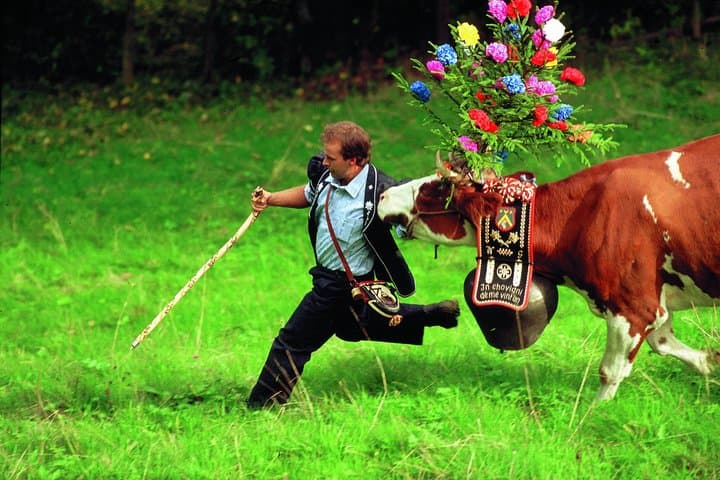Countryside