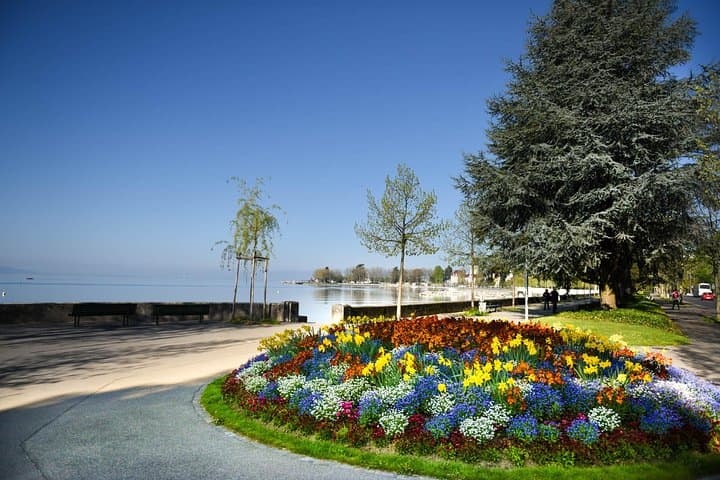 Private Trip from Geneva to Montreux through Lausanne