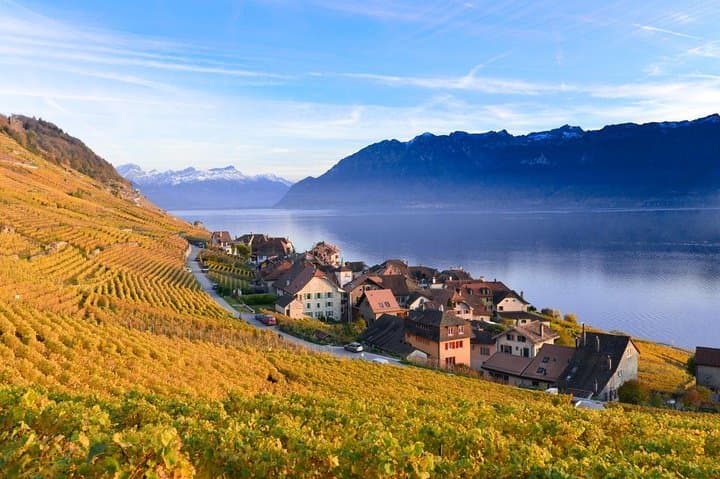 Private Tour to the Swiss Riviera from Geneva