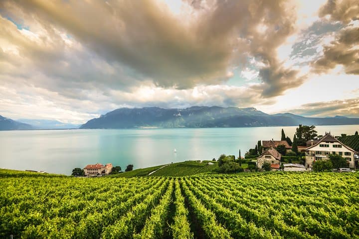 Day Trip to Montreux, Chaplin's World & Chillon Castle& apéritif
