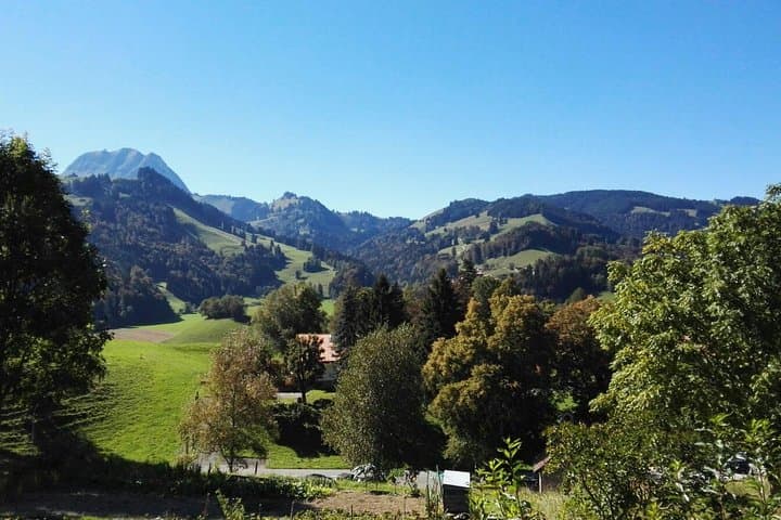 (KTG353) - Winter Tour: Gruyeres, chocolate tour from Geneva