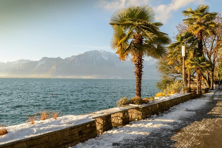 Private Tour to the Swiss Riviera from Geneva