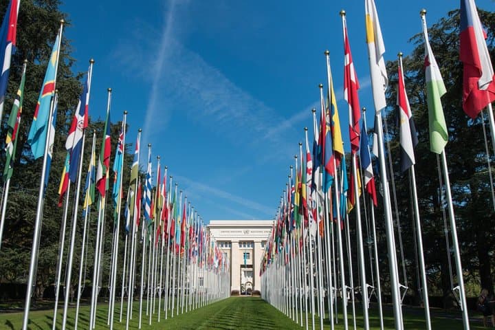 Geneva City Private Guided tour & Optional Boat Cruise
