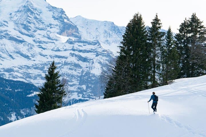 Snow Shoe Hike
