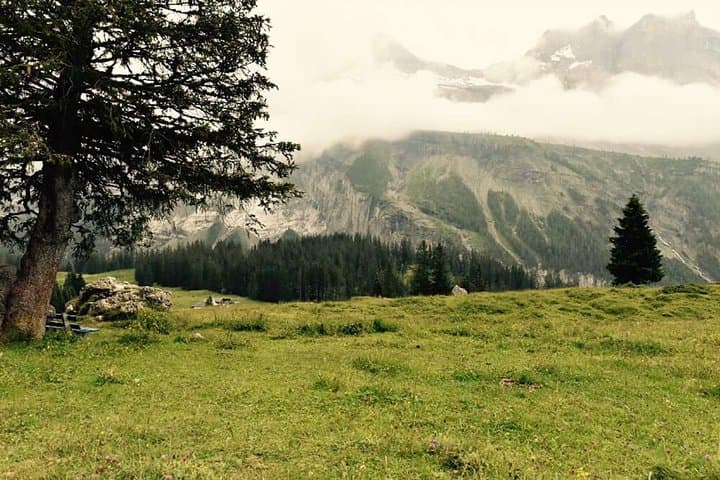 Private Fishing Trip in the Swiss Alps from Bern
