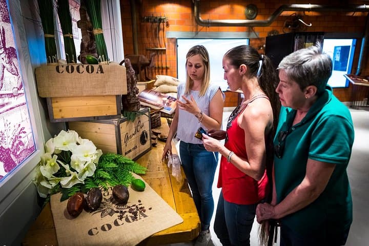 Lucerne's Chocolate Factory Total Experience: Tasting, Making, Production