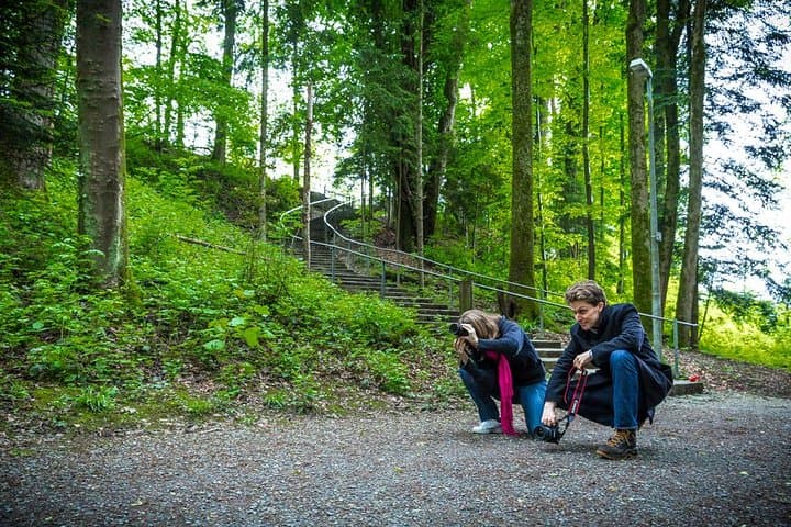 Essential Lucerne Photography Tour