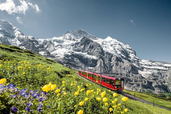 Geneva: Interlaken & Jungfrau Tour by Panoramic Glass-Roof Bus
