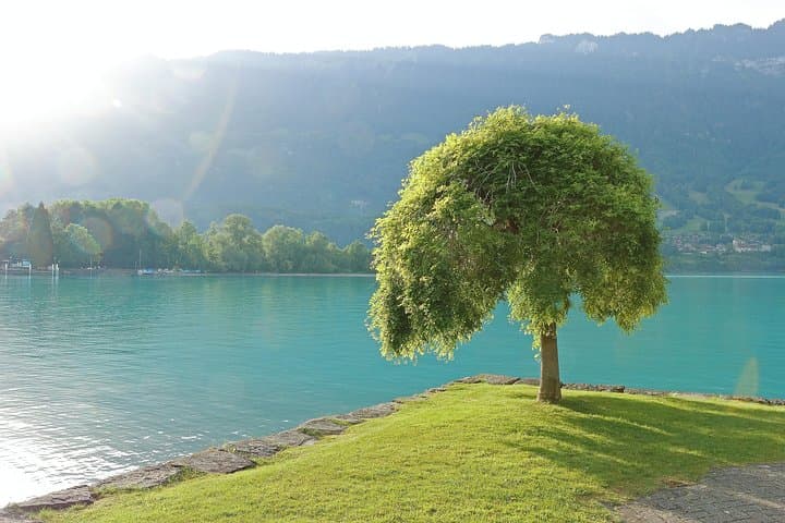 (KTG361) - Interlaken day trip by bus from Geneva