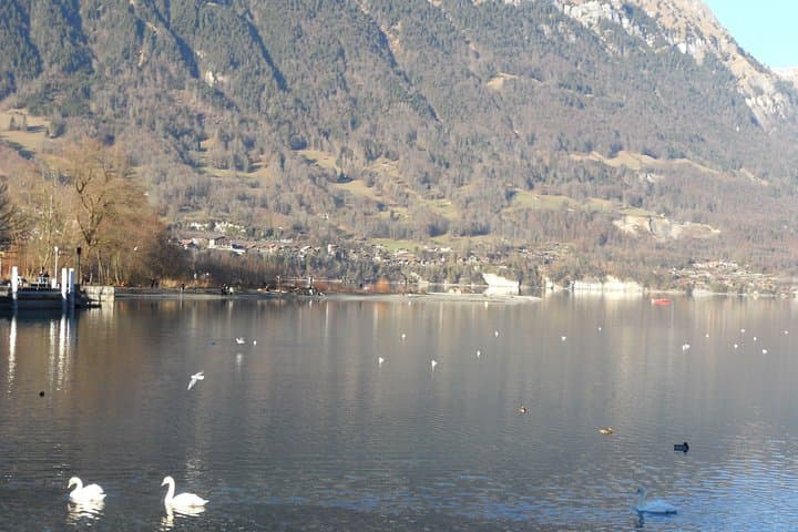 Interlaken Private Tour: Mountains Cows, Thun Lake, and Brienz Lake