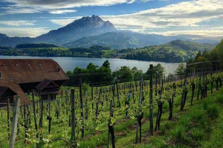 Half-Day Lake Lucerne Country Walk
