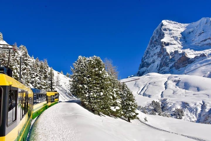 Eiger and Jungfrau Glacier Panorama Tour from Zurich