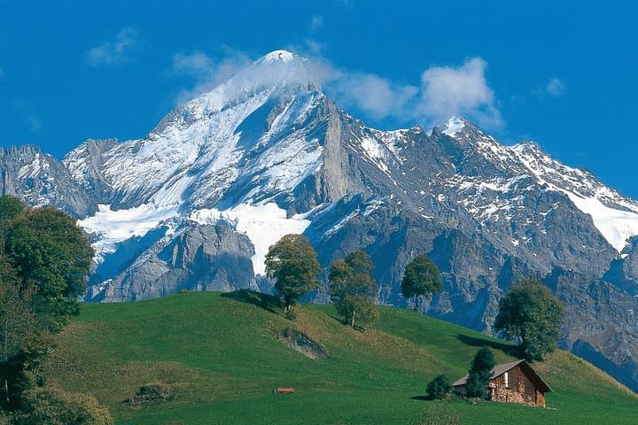 Interlaken and Grindelwald Day Trip from Lucerne