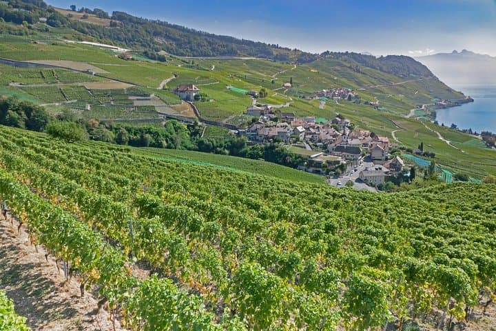 Timeless Geneva: Discover Old Town & Cultural Treasures