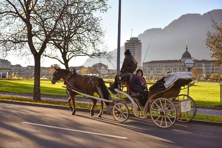 Private Trip from Geneva to Interlaken