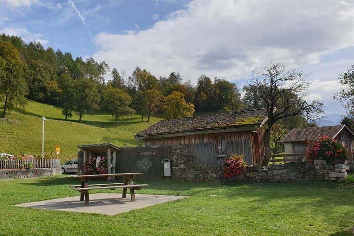 Private Trip from Zurich to Vaduz in Liechtenstein & Swiss Heidiland
