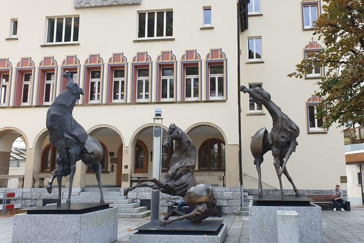 Private Trip from Zurich to Vaduz in Liechtenstein & Swiss Heidiland