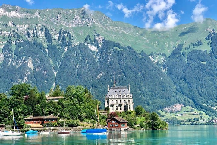 Swiss Alps panorama Tour with private guide from Zurich