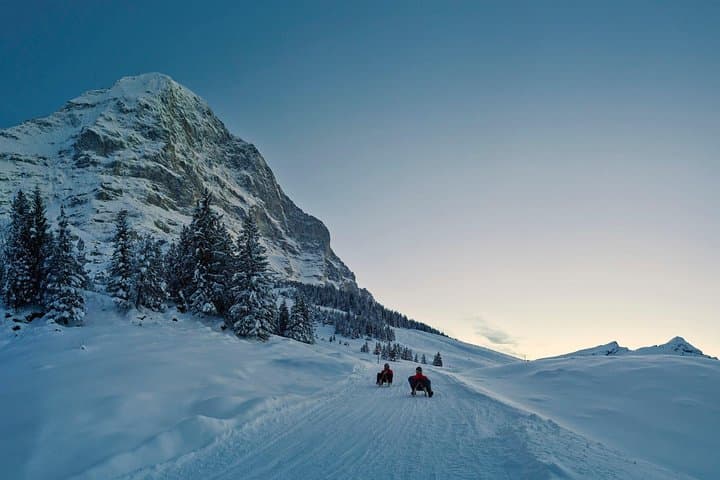 Private trip from Zurich to Jungfraujoch (The Top of Europe)