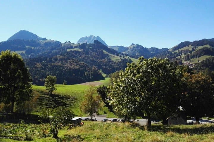 Gruyères with Cheese and Chocolate Private Tour