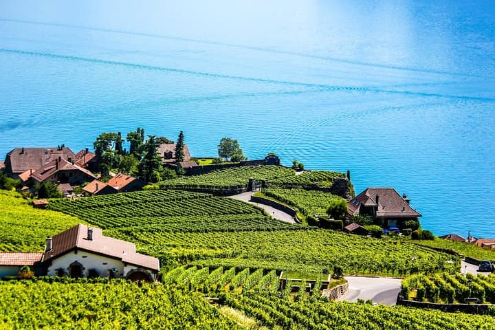 Private Tour to Gruyères, Chocolate & Cheese Factory from Geneva