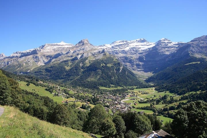Private Day trip to Glacier 3000 and Montreux with Driver Guide