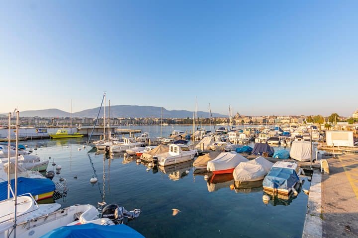 Private Tour of Geneva in 60 minutes with a Local