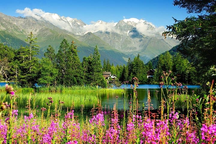 Private Trip from Geneva to Swiss Riviera Montreux & Chamonix