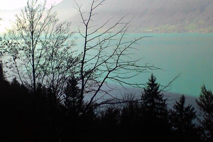 Half-Day Private Giessbach Falls and Lake Brienz from Interlaken