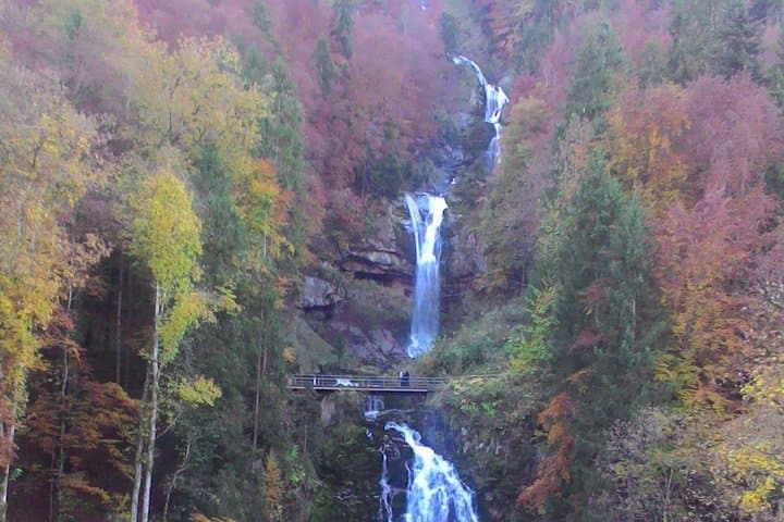 Half-Day Private Giessbach Falls and Lake Brienz from Interlaken