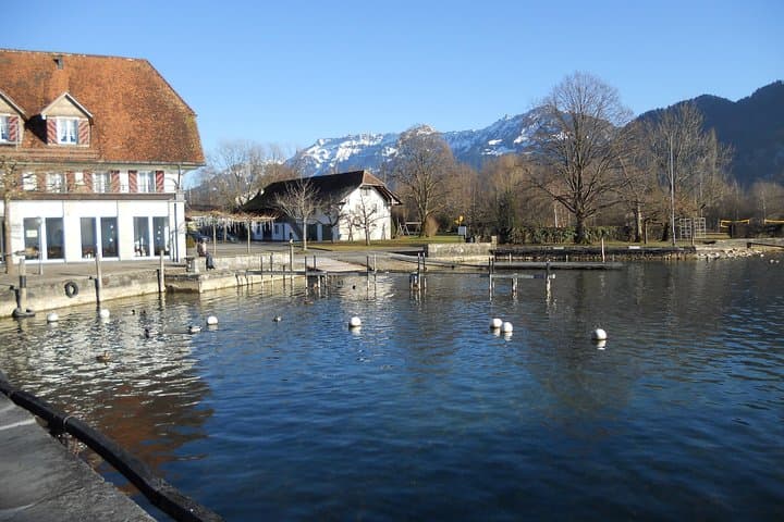 Interlaken Private Tour: Mountains Cows, Thun Lake, and Brienz Lake