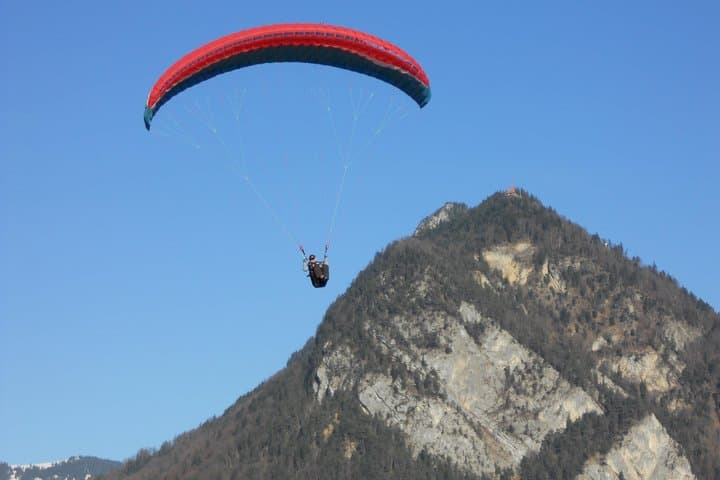 Interlaken Private Tour: Mountains Cows, Thun Lake, and Brienz Lake