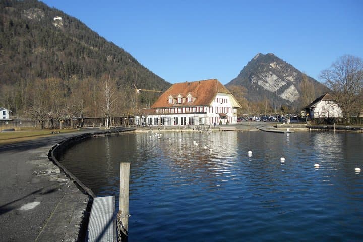 Private Lake Thun and Lake Brienz Express Tour from Interlaken