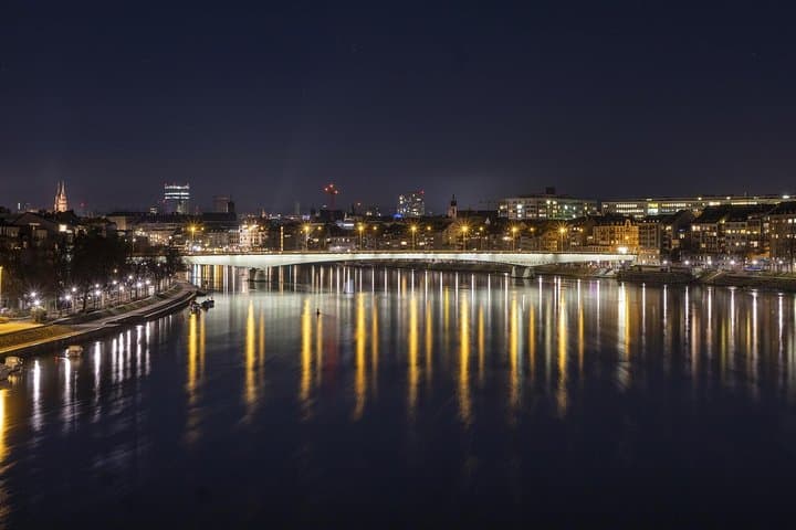 Basel Private Walking Tour with a Professional Guide