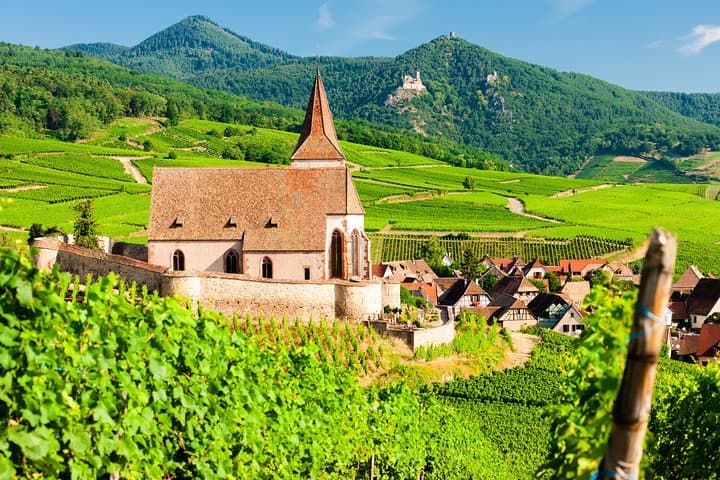 The Vine Tour from Zurich (Private Tour)