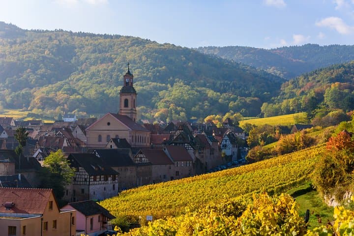 The Vine Tour from Zurich (Private Tour)