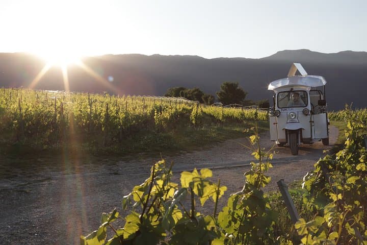 Geneva Panoramic & Tasting Vineyards Tour in an Tuk Tuk