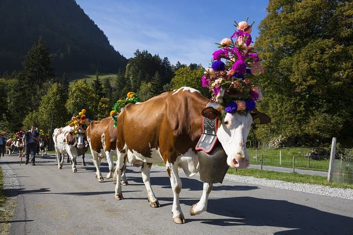 Cheesemaking and Mount Titlis in the heart of the Alps (Private Tour)