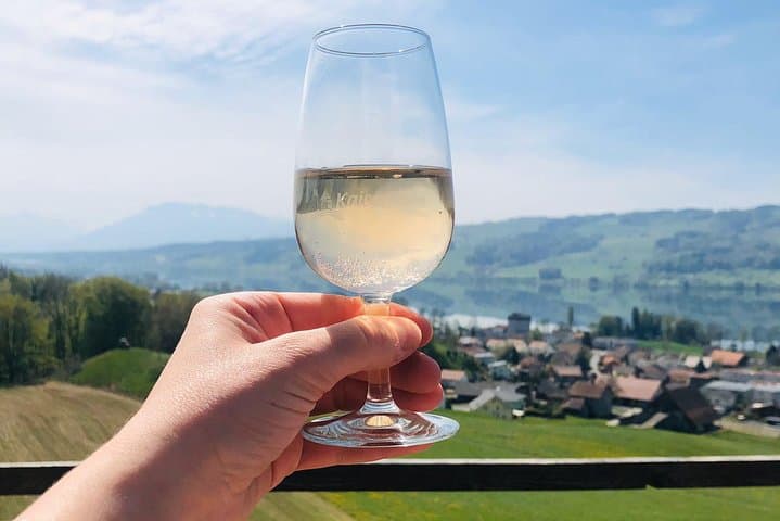Vineyard