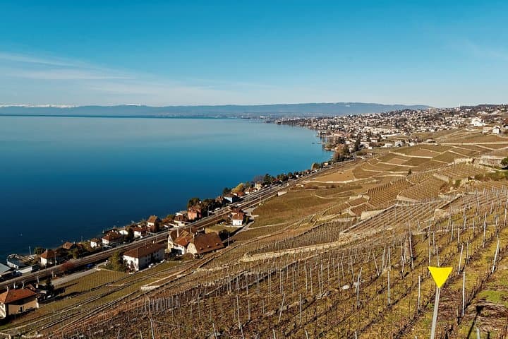 Cheese, Chocolate and Wine in the Bern Region from Luzern